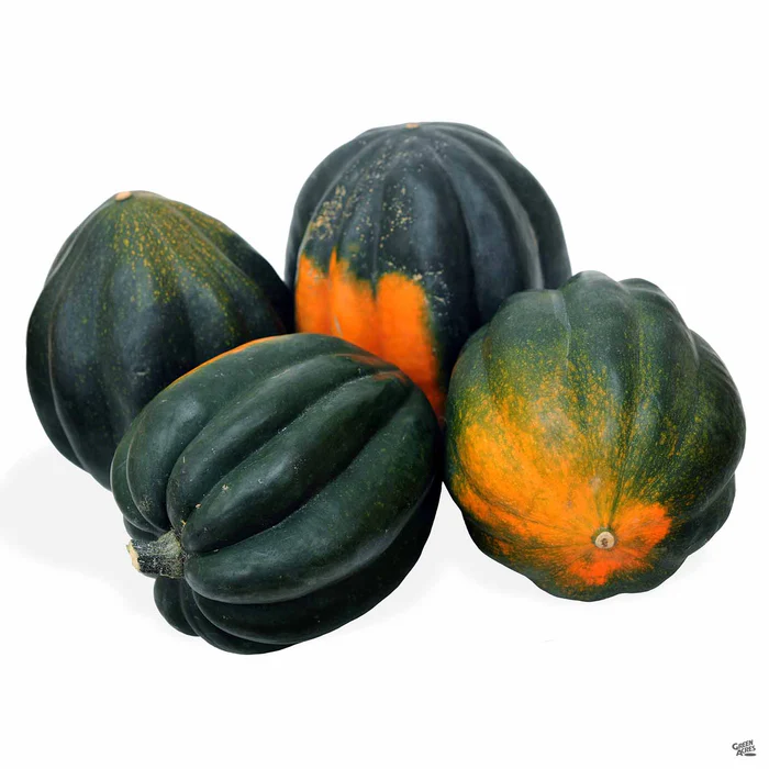 2874-squash-table-ace-1.webp Squash 'Table Ace'