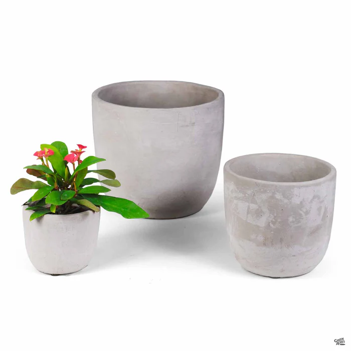 2910-bell-curve-plant-vessel-1.webp Bell Curve Plant Vessel
