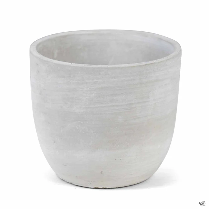 Bell Curve Plant Vessel