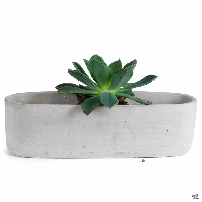 Low Oval Plant Vessel