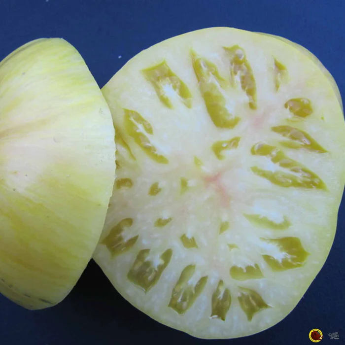 Tomato 'Pineapple Pig'