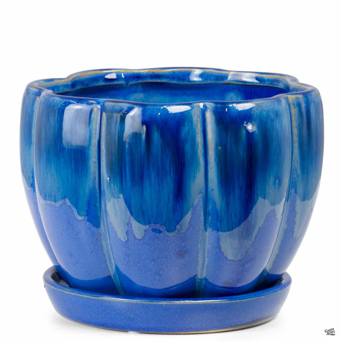 Petal Bowl