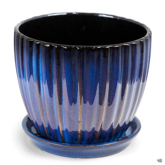 Lady Jane Cup Pot Stormy Night