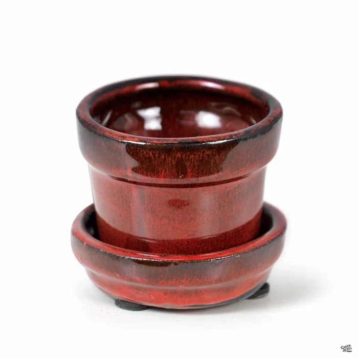 2951-fancy-glazed-standard-pot-13.webp Fancy Glazed Standard Pot