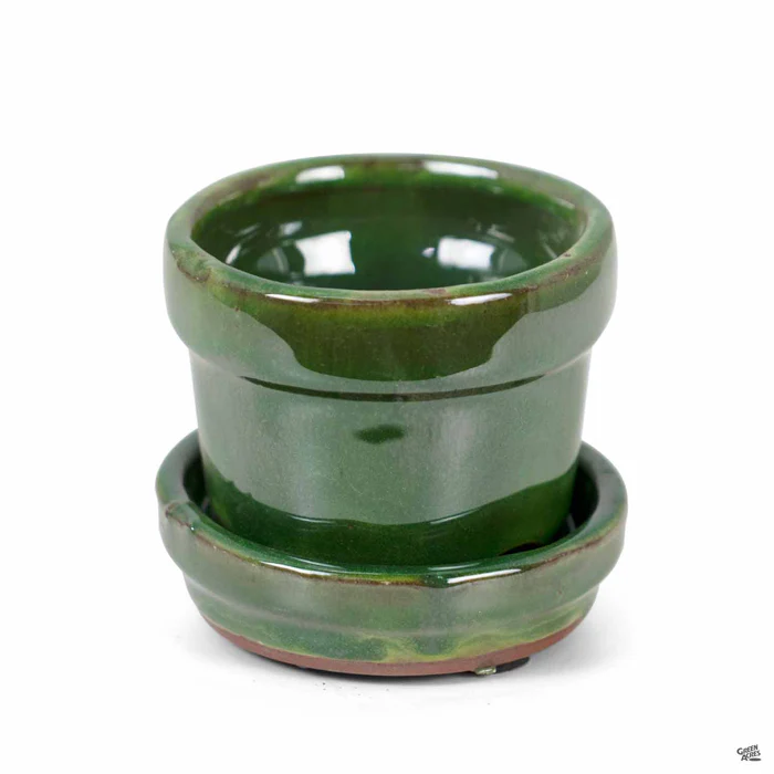 2951-fancy-glazed-standard-pot-18.webp Fancy Glazed Standard Pot