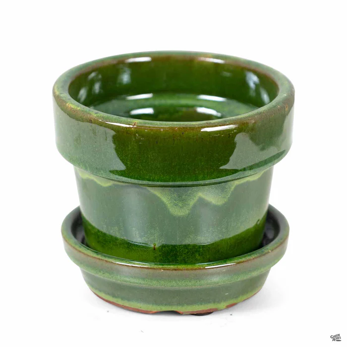 2951-fancy-glazed-standard-pot-19.webp Fancy Glazed Standard Pot