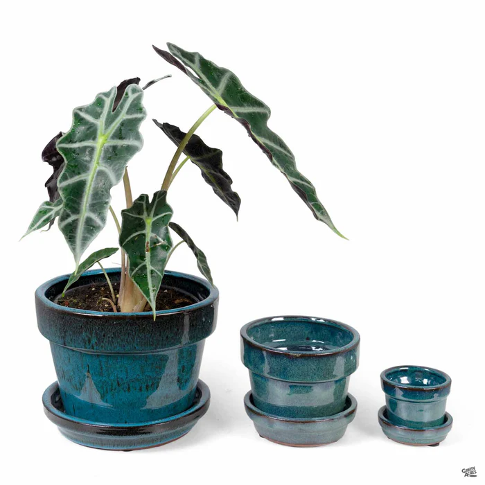 2951-fancy-glazed-standard-pot-6.webp Fancy Glazed Standard Pot