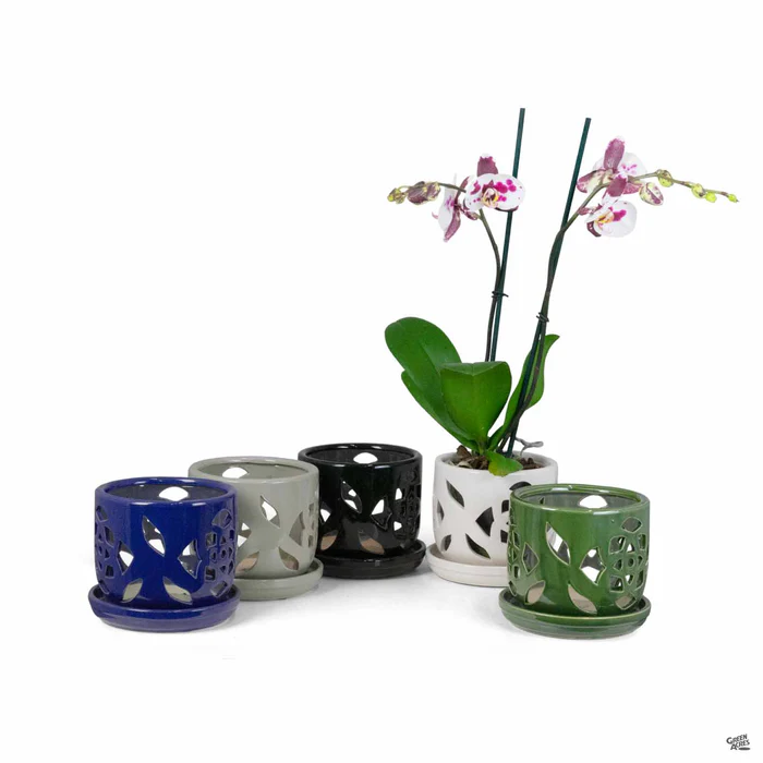 2961-shiny-orchid-pot-1.webp Shiny Orchid Pot