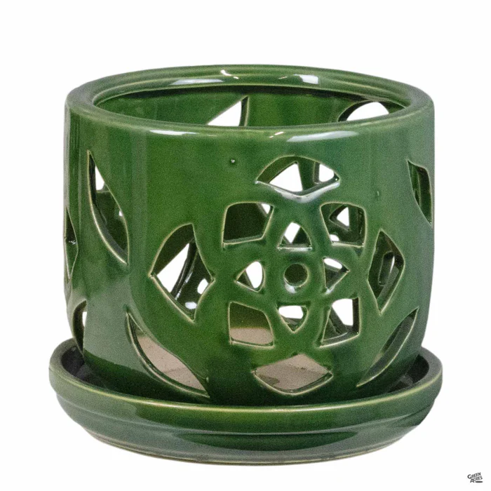2961-shiny-orchid-pot-2.webp Shiny Orchid Pot