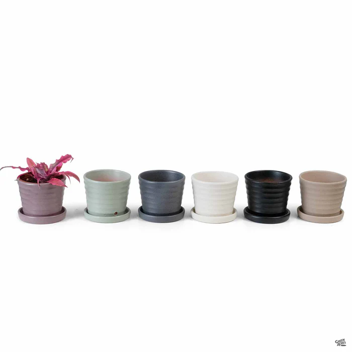2968-matte-ribbed-pot-8.webp Matte Ribbed Pot