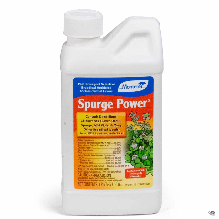 3383-monterey-spurge-power-16-oz-concentrate-1.webp Monterey Spurge Power 16 oz Concentrate