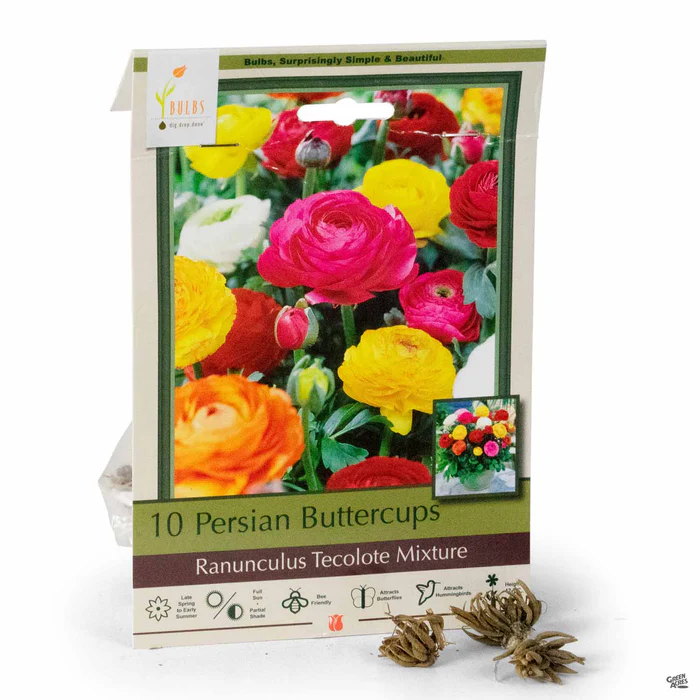 3403-ranunculus-tecolote-mix-1.webp Ranunculus 'Tecolote' Mix