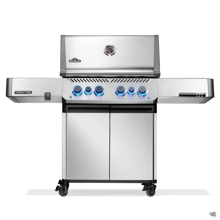 Prestige 500 RSIB Stainless Steel