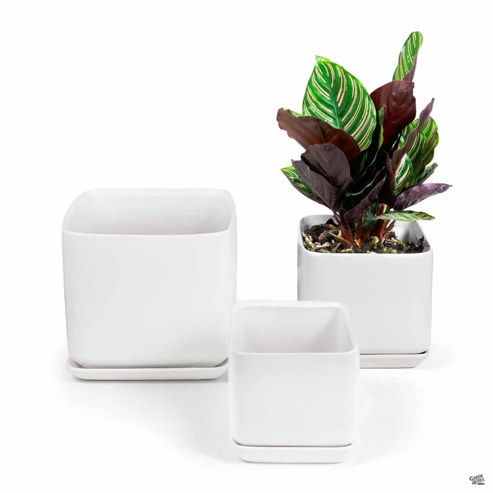 Cube Pottery with Attached Saucer