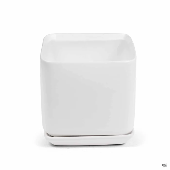 3804-cube-pottery-with-attached-saucer-4.webp Cube Pottery with Attached Saucer