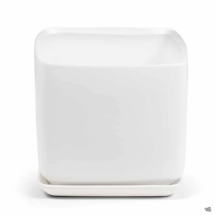 3804-cube-pottery-with-attached-saucer-5.webp Cube Pottery with Attached Saucer