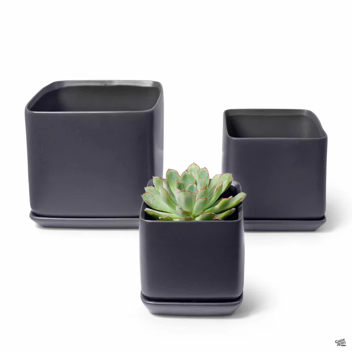 3804-cube-pottery-with-attached-saucer-6.webp Cube Pottery with Attached Saucer