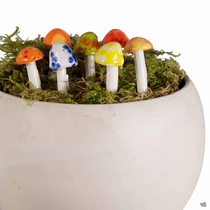 Shroomyz Micro
