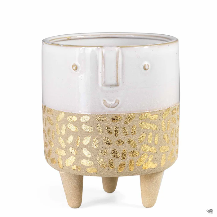 3849-modernist-face-planter-1.webp Modernist Face Planter