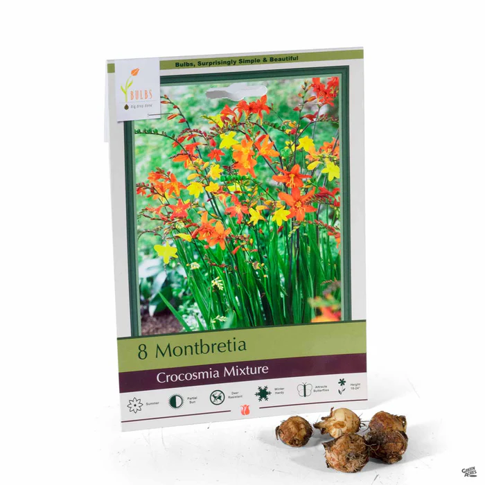 Crocosmia 'Mixture'