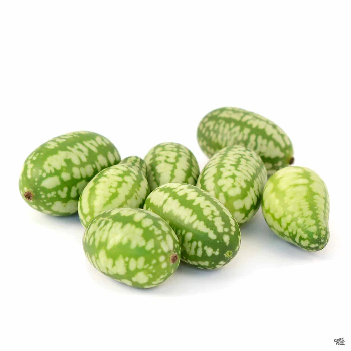 3867-cucamelon-2.webp Cucamelon