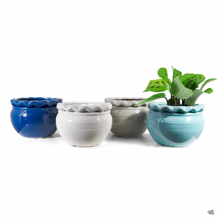 Pie Rim Self-Watering Pot