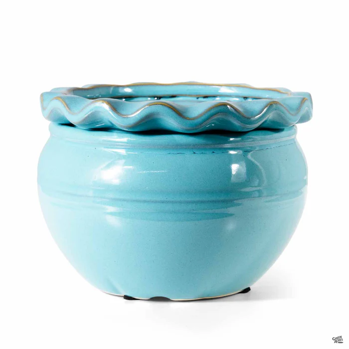 Pie Rim Self-Watering Pot