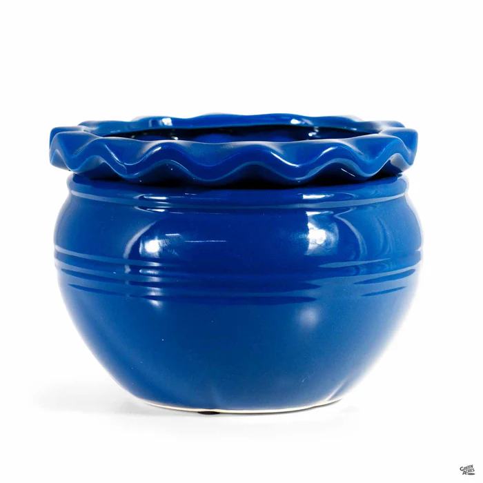 Pie Rim Self-Watering Pot