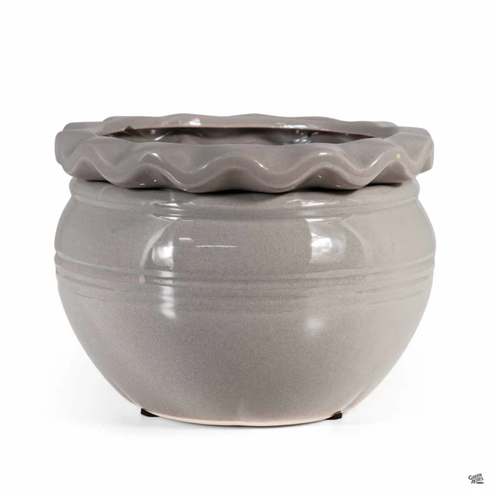 Pie Rim Self-Watering Pot