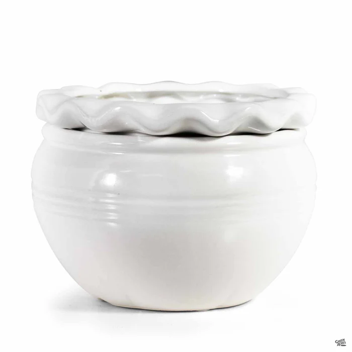 Pie Rim Self-Watering Pot