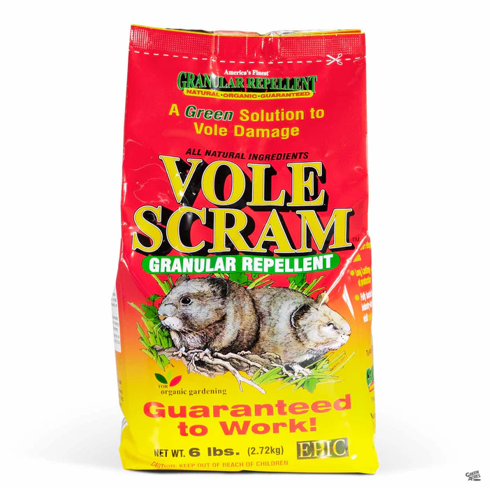 3922-epic-vole-scram-1.webp Epic Vole Scram