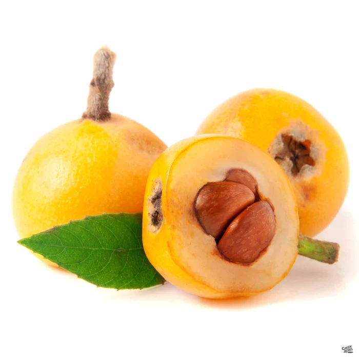 4042-fruiting-loquat-big-jim-2.webp Fruiting Loquat 'Big Jim'
