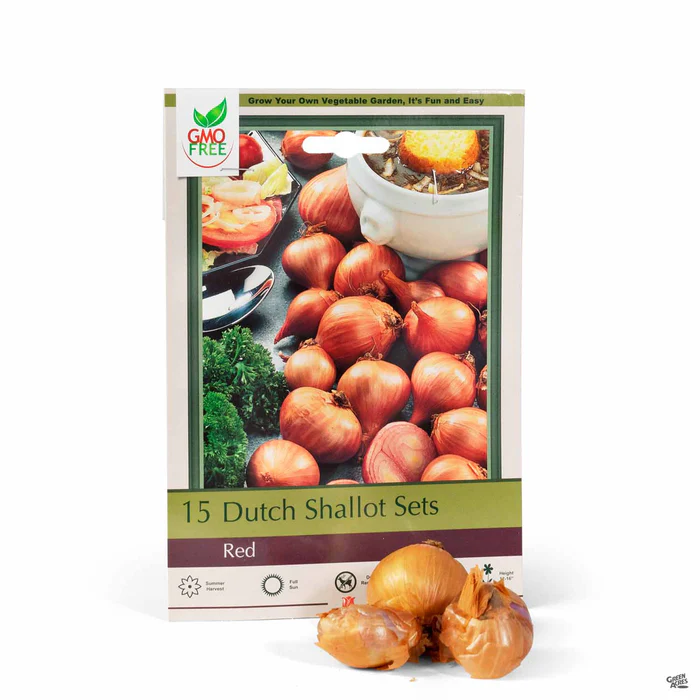 4071-dutch-onion-red-shallots-1.webp Dutch Onion 'Red Shallots'