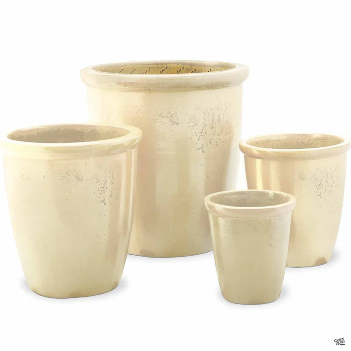 Thick Rim Cana Pot