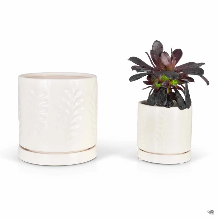 4183-janna-cylinder-pot-1.webp Janna Cylinder Pot