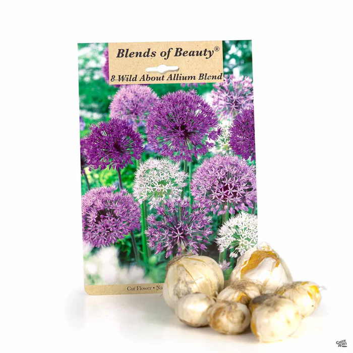 Allium 'Wild About Allium Blend'
