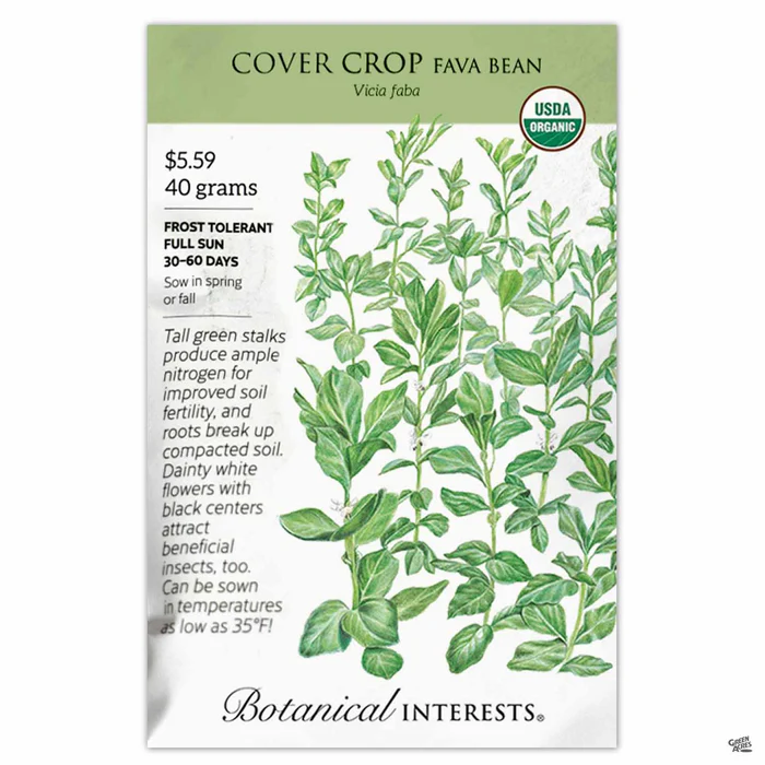 4286-fava-bean-2.webp Fava Bean
