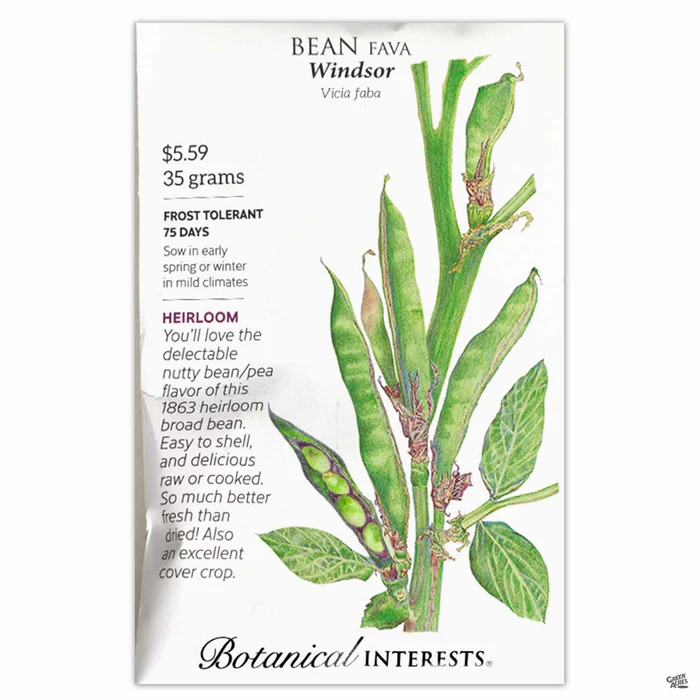 4286-fava-bean-3.webp Fava Bean