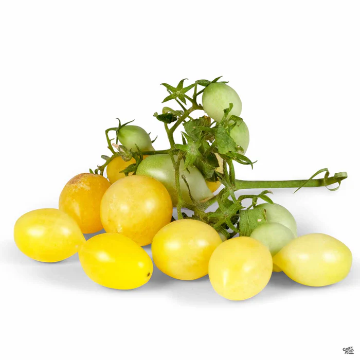 Tomato 'Barry's Crazy Cherry'
