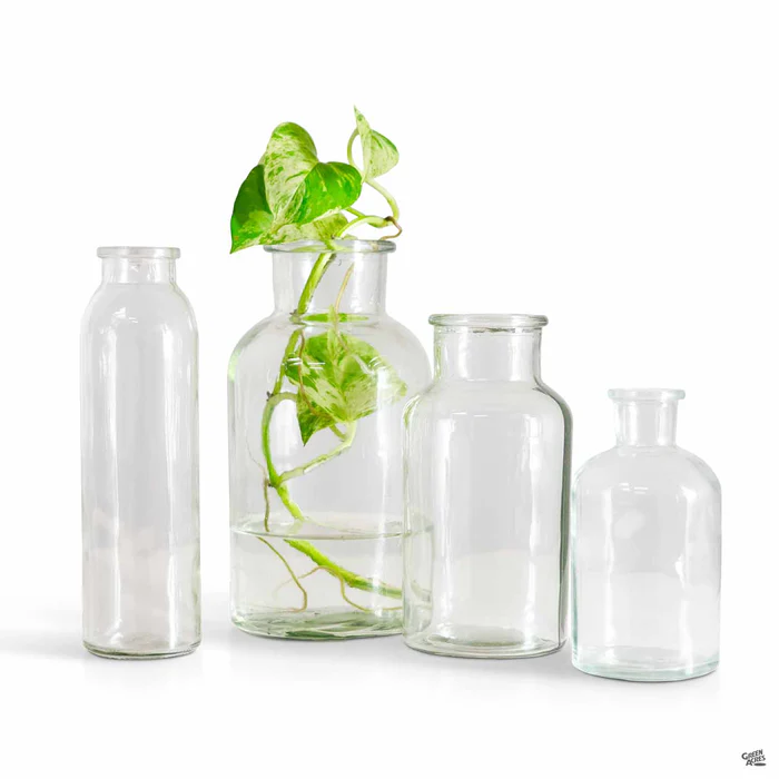 4422-propagation-billie-bottle-1.webp Propagation Billie Bottle