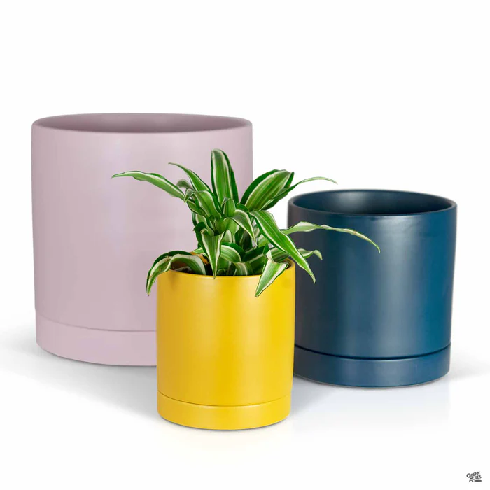 Romey Pot