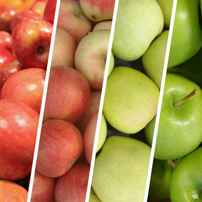 Apple Multi-Graft Combo #2 Bareroot