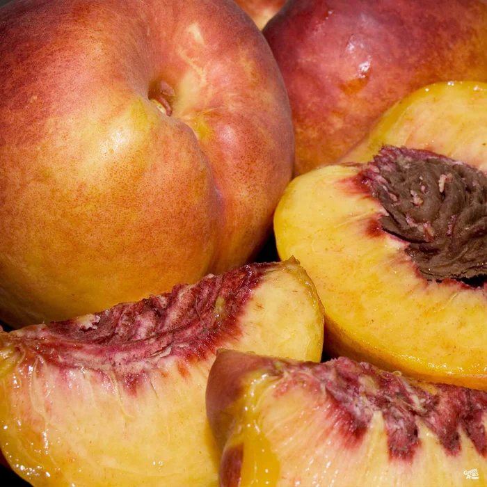 4579-nectarine-fantasia-bareroot-1.webp Nectarine 'Fantasia' Bareroot