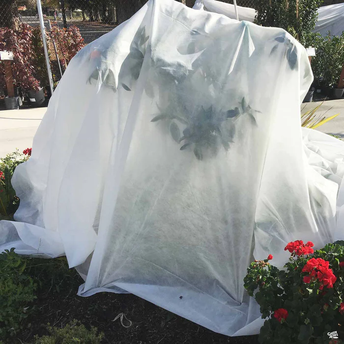 Frost Cloth 10' x 12'