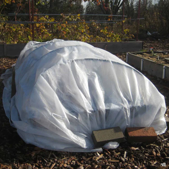 Frost Cloth 10' x 12'