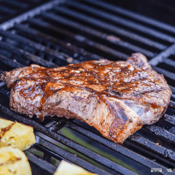 Monument Grills Mesa 305 Stainless Steel Grill