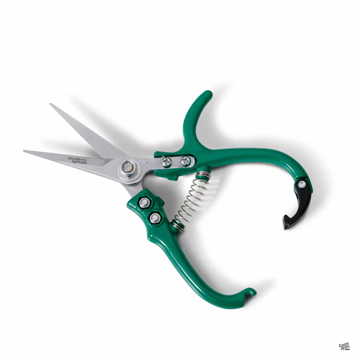 4805-modern-sprout-pruner-1.webp Modern Sprout Pruner
