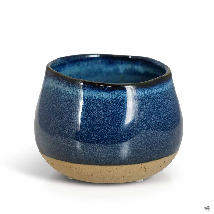 Dewdrop Pot