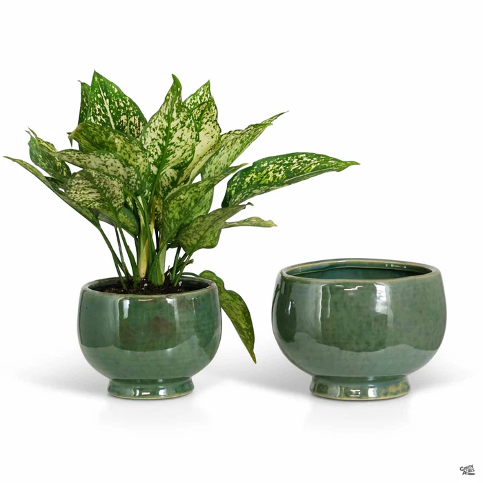 Empress Footed Bowl