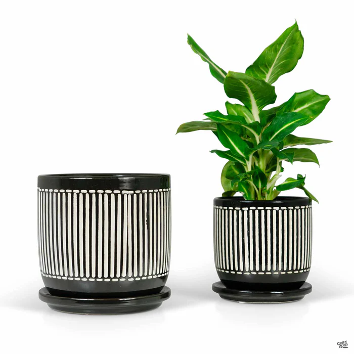 Minnetonka Pot